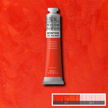 Colori ad Olio Winsor & Newton Winton 200ml - immagine 35