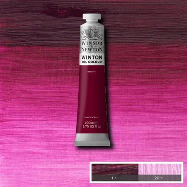 Colori ad Olio Winsor & Newton Winton 200ml - immagine 47